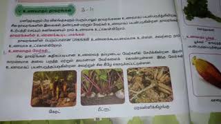 4th std SCIENCE TERM-2 Unit 3-4