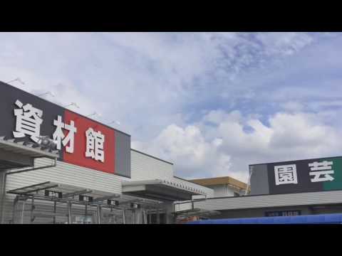 ドッグメディカル わおん動物病院 豊川市 周辺施設 口コミ 写真 動画