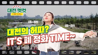 한밭수목원 상록수원 영상