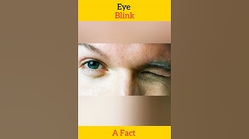 Eye Blink 🔥🔥.#facts #afact #viral #trending #shorts #eyes