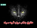حقایقی که در مورد گربه های سیاه نمیدونی 
