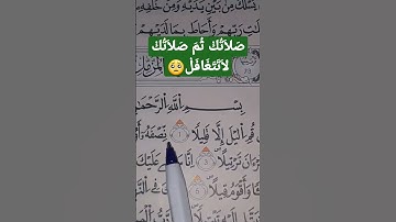 سورة المزمل -الشيخ حمزة بوديب-