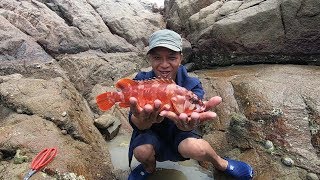 阿明赶海装备齐全，抽水泵和水管双管齐下，抽干水坑抓住值钱大货