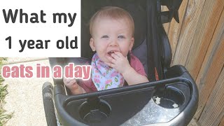 WHAT MY BABY EATS IN A DAY 1 YEAR OLD | COLLAB WITH LAURA VALVERDE