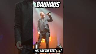 #frontrowpass #bauhaus #thepassionoflove