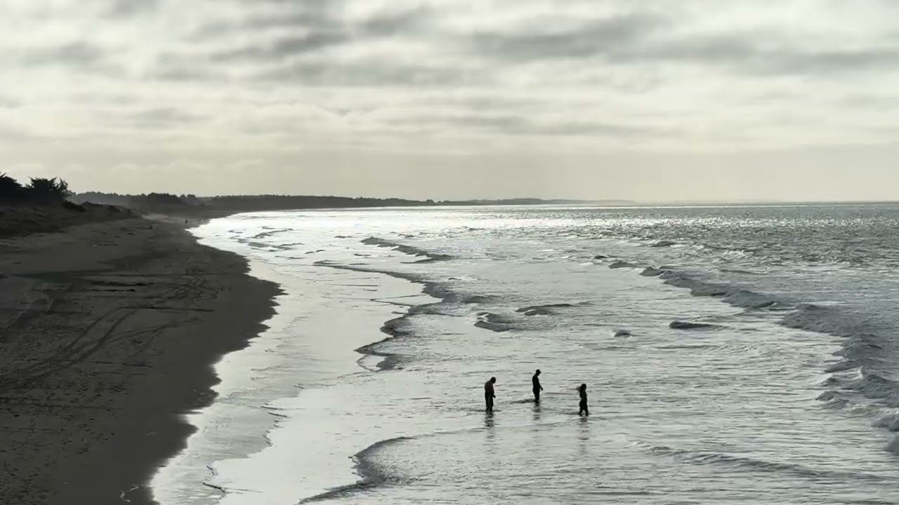Silver Waves & Brave Winter Swimmers - Natural White Noise: New Brighton, Christchurch, NZ