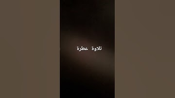 تلاوة عطرة بصوت مريح #القارئ_ريان_المحيسني #الشيخ #القرآن_الكريم#تلاوة_مميزة #أجمل_تلاوة#سورة_النمل