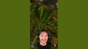 POV: You see a Therizinosaur getting too close to a creature you