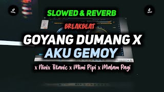 DJ Goyang Dumang x Aku Gemoy x Ninix Titanic x Mimi Pipi x Malam Pagi | (Slow   Reverb) Breakbeat..