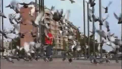 Montage - Yeah Right!