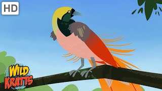 Beautiful Birds | Eagles, Hawks, Hummingbirds + more [Full Episodes] Wild Kratts screenshot 5