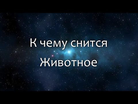 К чему снится Животное (Сонник, Толкование снов)