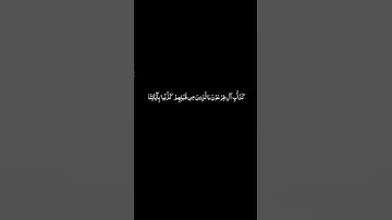 #القران_الكريم #سورة_آل_عمران #ياسرالدوسري #كرومات الآيات 11 _ 12