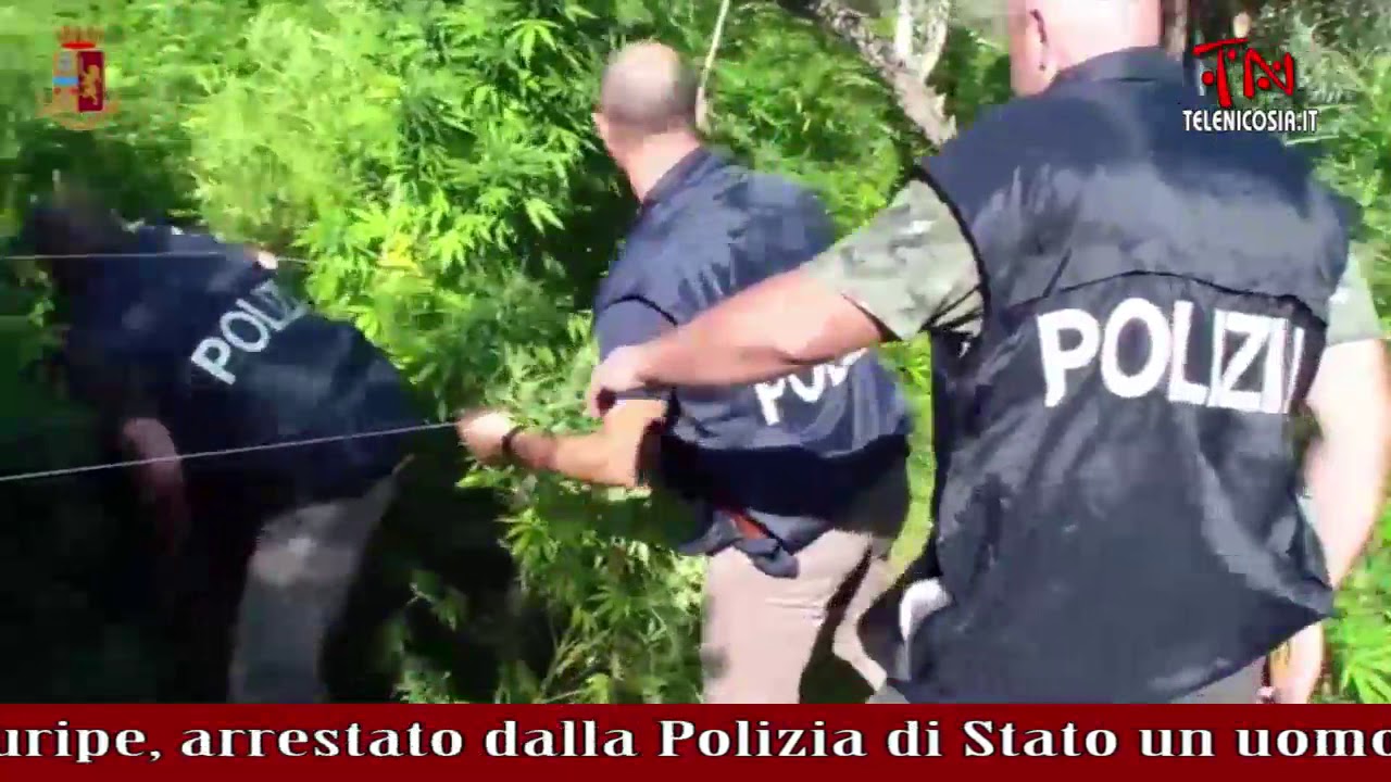 Centuripe, arrestato dalla polizia di stato un uomo per detenzione ... Po li zi a di stato
