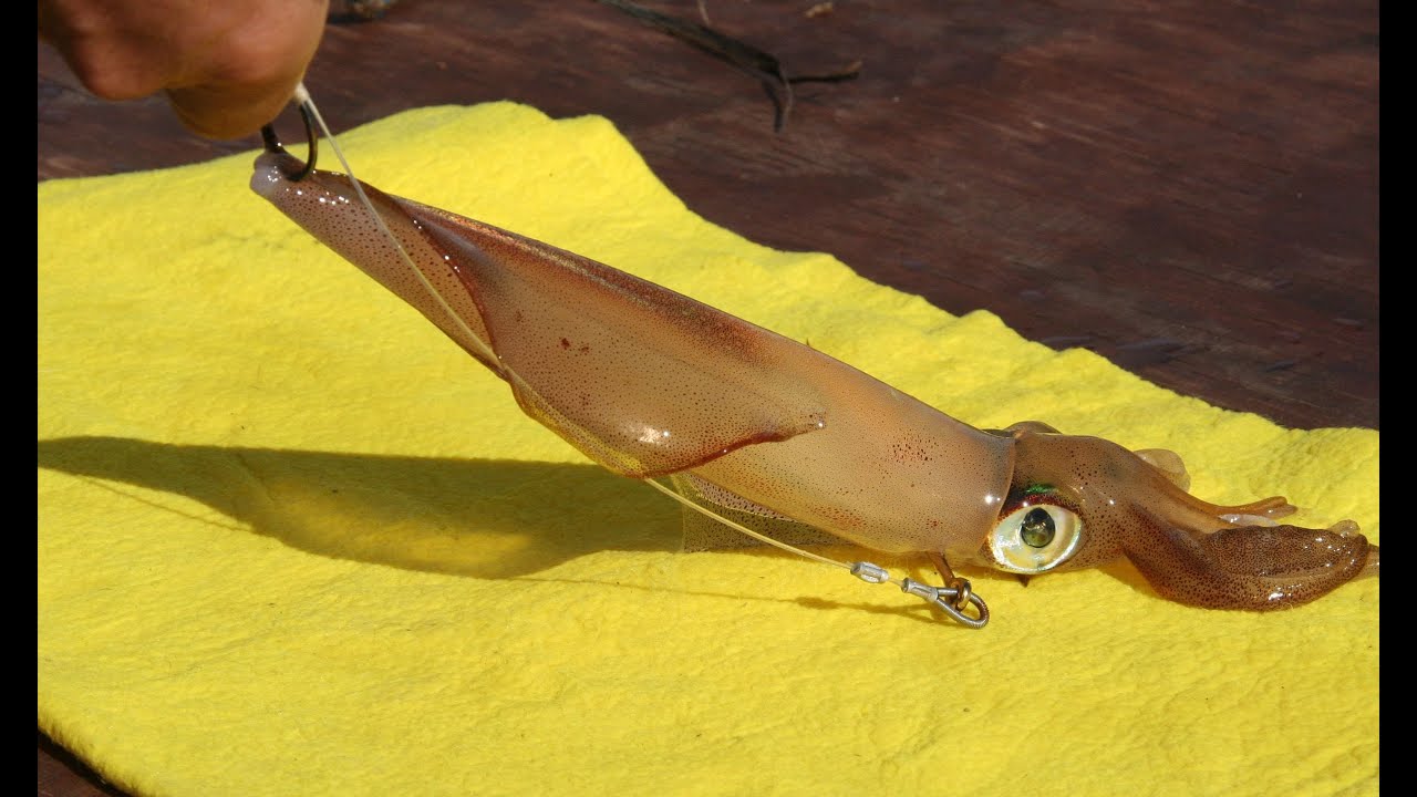 IGNESTI Serie 3190B - SALARIO PESCA s.r.l. Negozio Pesca online Roma