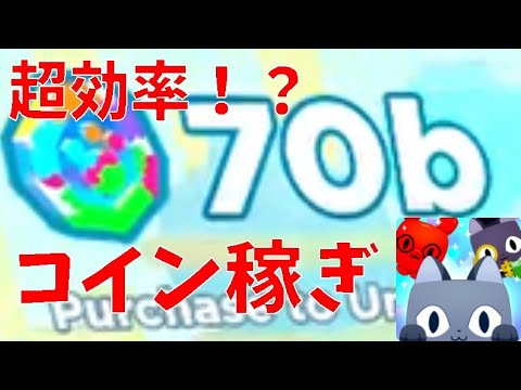 超効率コイン稼ぎ　Introducing how to earn coins efficiently　Pet Simulator X!【ROBLOX(ロブロックス)】