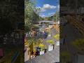 Riverside, The Oracle #theoracle #reading