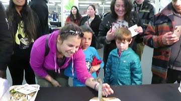 Brian Gundy Produces Worlds First Ball Cobra Python