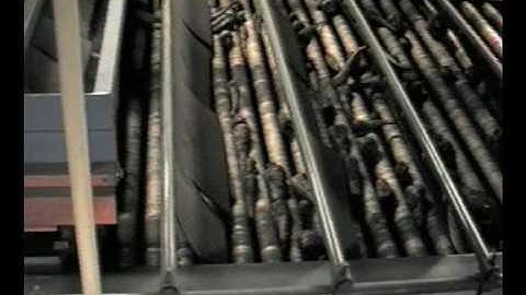 Kerian  Speed Grader Sorting Parsnips by Size