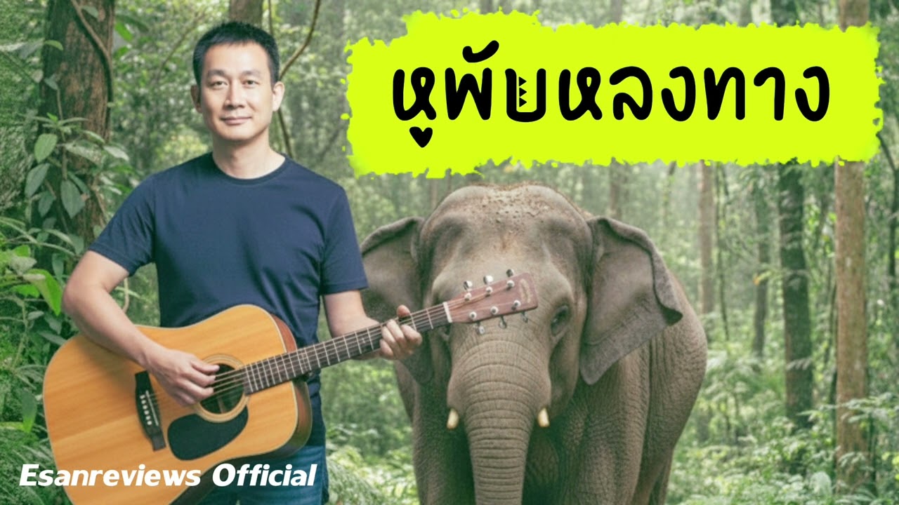 เพลง เจ้าช้างหูพับหลงทาง