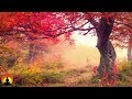 Meditation Music, Relaxing Music, Stress Relief, Meditation, Healing, Sleep, Study, Zen, Spa, ☯2201