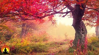 healing meditation music relaxing music calming music stress relief music peaceful music ☯2201