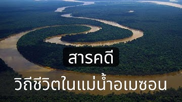 [สารคดี] วิถีชีวิตในแม่น้ำอเมซอน