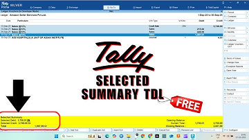 TallyPrime SELECTED SUMMARY TDL | Best TallyPrime TDL @LearnWell