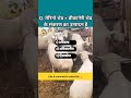 #पशुपालन विज्ञान का महत्वपूर्ण प्रश्न