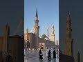 МЕДИНА  #medina #المدينة المنورة