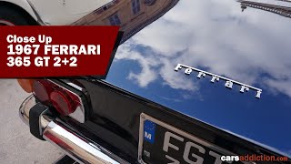 Close up - 1967 Ferrari 365 GT 2+2