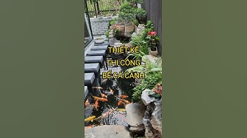 Thiết kế thi công bể cá cảnh | X8design #short #x8design