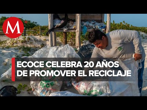 Ecoce celebra 20