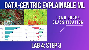Data centric Explainable ML Tutorial 10: Lab 4 Step 3