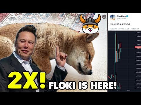 ELON MUSK, FLOKİ'NİN FIRLATMA RAMPASINI AYARLADI: 0.00374$'A YÜKSELECEK DEDİ VE YAKIM İÇİN...🚀ROKET🔥