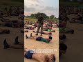 Sixpack exercise || army physical exercise #indianarmy image