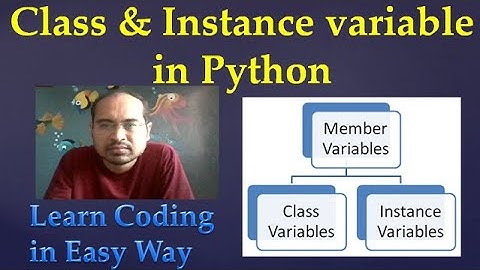 41. Class & Instance variable in Python
