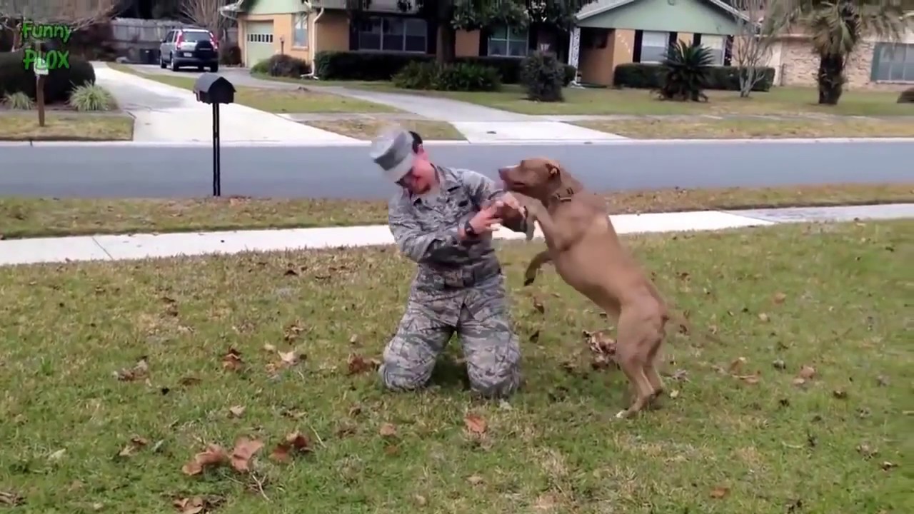 Als diese Hunde ihre Besitzer nach 5 Jahren wiedersehen, passierte das...