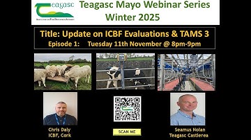 Winter Webinar 2025 (ICBF and TAMS 3)