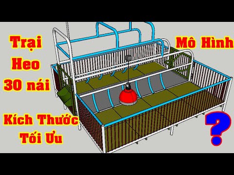 Cách làm chuồng heo nái Thiết kế và kích thước chuồng nuôi lợn nái