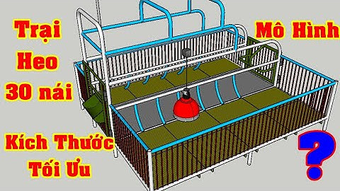 Bản vẽ kích thước lồng heo nái đẻ,nái hậu bị | Cách làm chuồng lợn nái | Khởi Nghiệp TV
