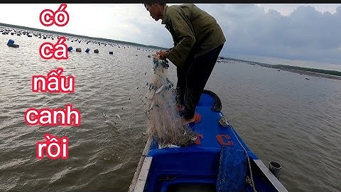 hai vợ chồng thả lưới cá đối , về nấu cử cơm chiều cùng gia đình,(lê nghĩa cần giờ)