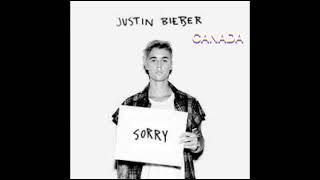 Sorry -Justin Bieber(Canada)