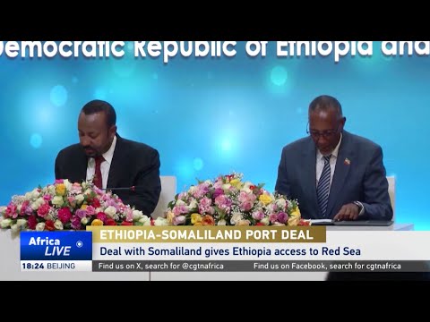 Ethiopia rejects Arab League statement on ‘Somaliland’ deal