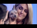 Ana Hickmann chora ao ganhar cachorrinha resgatada por Luiz Bacci