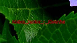 Aleixo Junior   Kwenha