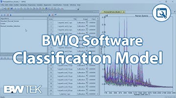 B&W Tek - BWIQ - Building a Classification Model