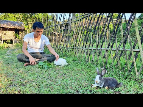 วีดีโอ: Naturegarden - สร้างสวนธรรมชาติ