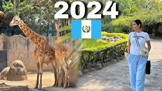 EL SUEÑO AMERICANO EN GUATEMALA ES UNA REALIDAD, *Zoo Aurora* El mejor de Centro Americana 502