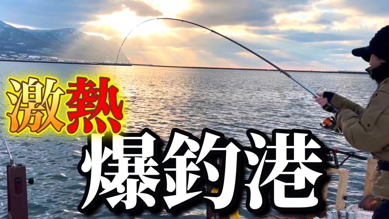 北海道】【釣り】激熱タイムにホッケ(𩸽)爆釣!下針の極意炸裂 北海道】【釣り】激熱タイムにホッケ(𩸽)爆釣!下針の極意炸裂
